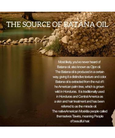 2PCS Organic Hair Batana Oil Hair Growth Oil Natural Treatment Nourish Reduce Loss Anti-Breakage 110ML - Buy Online on GoSupps.com