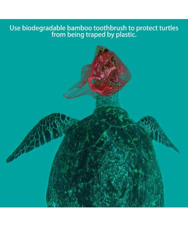 Eco-Friendly CNVOILA Bamboo Charcoal Toothbrush for Kids - Soft Bristle 6 Color Options - Sustainable Dental Care - Buy Online on GoSupps.com