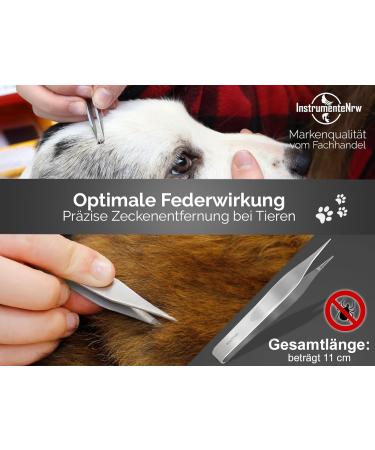 Professional Tick Removal Tweezers - 11cm Stainless Steel for Foreign Body & Splinter Removal | International Shipping - Buy Online on GoSupps.com