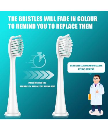 8 Pack Replacement Toothbrush Heads for Philips Sonicare - Compatible with HX3/6/9 4100 5100 6100 9900 C1 C2 W2 W3 G2 G3 - Plaque Control Snap-on - Buy Online on GoSupps.com