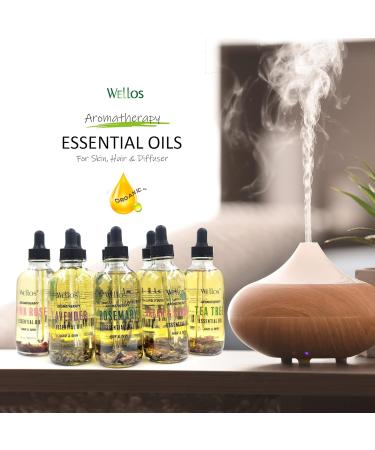 Aromatherapy Essential Oil for Hair & Skin (Argan & Strawberry) 4 fl oz(120ml) Argan & Strawberry 4 Fl Oz (Pack of 1) - Buy Online on GoSupps.com