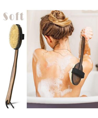 5 Pcs Dry Brushing Body Brush Set - Exfoliating Massager with Soft and Stiff Bristles for Cellulite, Feet, and Back - Long Handle Face Scrubber for Shower Bath - Buy Online on GoSupps.com
