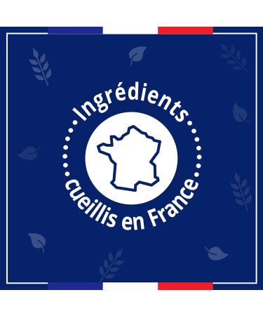 Le Petit Marseillais | Maxi Refill Liquid Soap with Antibacterial Action (750 ml brick) Liquid soap refill for - Buy Online on GoSupps.com