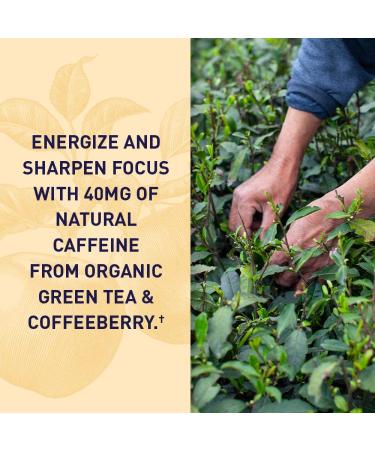 Garden of Life Organic Apple Cider Vinegar Energy Gummies - 63 Vegan Gummies - Buy Online on GoSupps.com