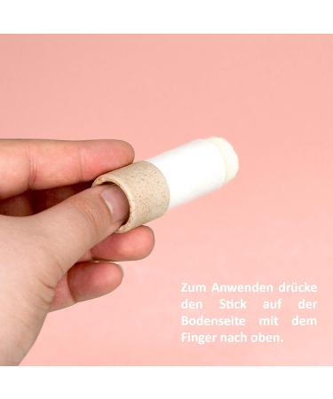 puremetics Fruity Lip Balm Pen - Buy Online on GoSupps.com