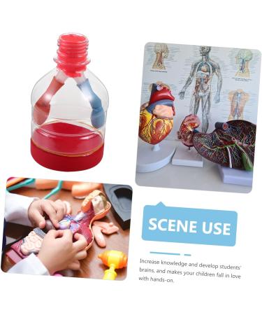 Lurrose Lung Demonstration Model Sports Toy Set - Educational Teaching Aid for Children - Buy Online on GoSupps.com