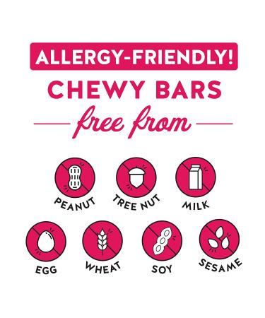 Blake's Birthday Cake Seed-Based Chewy Granola Bars (24 Count) - Vegan, Gluten-Free, Nut-Free, Dairy-Free, School-Safe, Low Calorie Snack for Kids and Adults - Buy Online on GoSupps.com