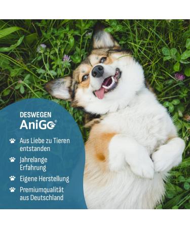 Anigo Premium Salmon Oil for Dogs - 1 Liter Omega 3 & 6 High-Dose Fish Oil for Optimal Health - BARF Quality - Buy Online on GoSupps.com