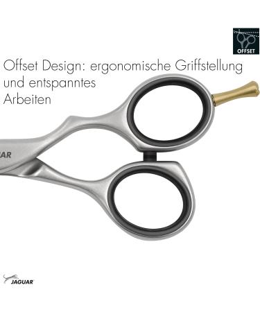 Jaguar Haircoat Pre Style Relax 5.5 Hairdresser Scissors | Offset Design | Made in Germany | Haircase Harness 14 cm - International Shipping - Buy Online on GoSupps.com