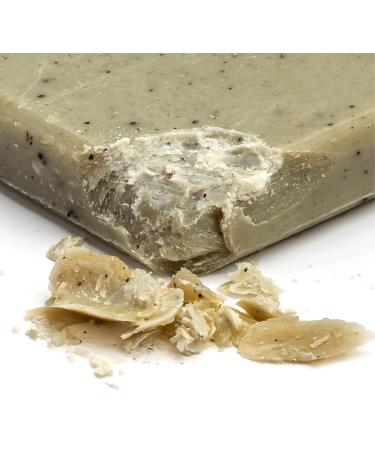 Baxters of California Travel Kit Men's Shower Set Travel Shampoo | Travel Conditioner | Travel Deodorant | Travel Exfoliating Cleansing Bar Refreshing and - Buy Online on GoSupps.com