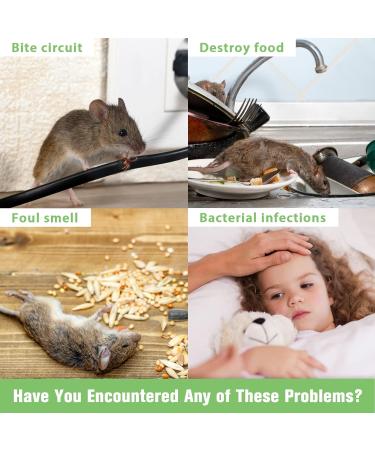 Wanqueen 4 Pack Natural Mouse Repellent Balls - Peppermint Oil Rodent Deterrent for Pest Control | Indoor Mice and Rats Repellent Solution - Buy Online on GoSupps.com