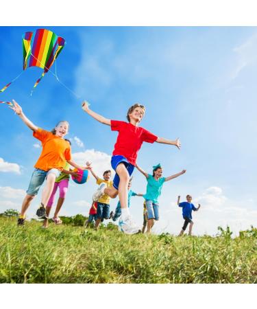 VIKY Dragons Kite for Kids - Colorful Pocket Kite 30m Dragon Cord Beginner Friendly Outdoor Flight Toy - 82cm x 52cm Rainbow Kites for Children and Adults - Buy Online on GoSupps.com