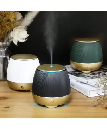 Buy Earnest Living Essential Oil Diffuser 150ml - Home Aromatherapy & Humidifier with USB Auto Off & 7 Color Changing Lights - Buy Online on GoSupps.com