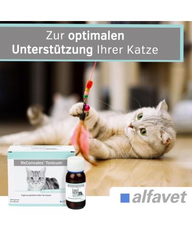 alfavet ReConvales Tonicum Cat Dietary Food Supplement Stimulating the Appetite for Convalescence and in Cases of Underweight 6 x 45 ML - Buy Online on GoSupps.com