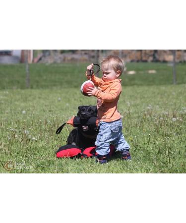 Dingo Gear Soft Real Leaderball with Handle - 11 cm Dog Toy for Retrieving & Rewarding | International Shipping - Buy Online on GoSupps.com