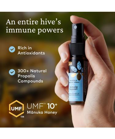 Comvita Bee Propolis Throat Spray - Natural Immune Support, Soothing Mint Flavor with New Zealand UMF 10+ Manuka Honey, Antioxidant, Dietary Supplement - 0.7 fl oz, Pack of 2 0.7 Fl Oz (Pack of 2) - Buy Online on GoSupps.com