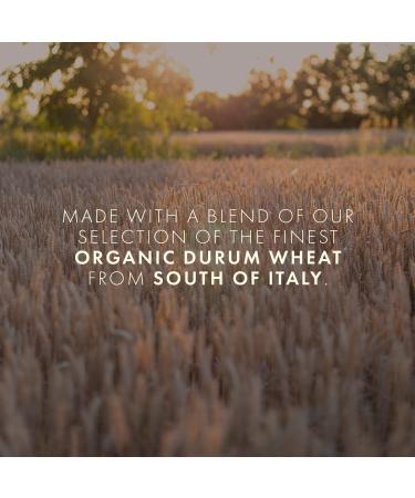 Cipriani Food Spaghetti Noodles - USDA Organic Whole Wheat Spaghetti Pasta Authentic Italian Pasta Non-GMO - 500 Grams (Pack of 2) - Buy Online on GoSupps.com