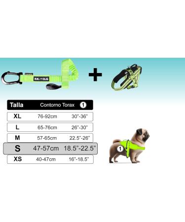 Bike and Dog: Patented Dog Leash & Dishes with 3 Rings for Biking Adventures - Buy Online on GoSupps.com