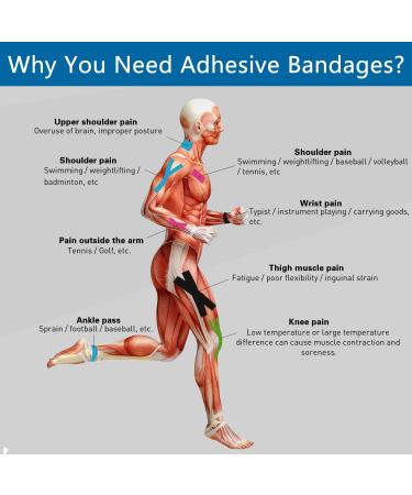 Self Adherent Bandages Wrap 2 x 5 Yards - 6 Count Pack | Flexible, Breathable Medical Tape for Ankle Sprains, Swelling, Sports Injuries - First Aid Cohesive Rolls - Buy Online on GoSupps.com