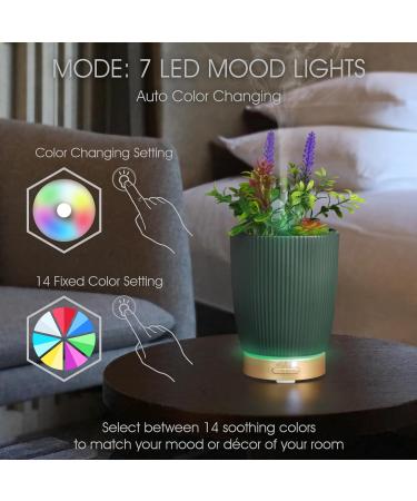 Earnest Living Essential Oil Diffuser - Ceramic Succulent Pot 100ml Night Light Timer & Auto-Off Function for Lavender Aromatherapy - Buy Online on GoSupps.com