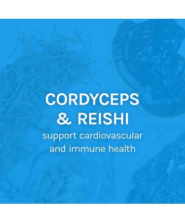 Host Defense Cordychi - Stress & Fatigue Relief - 120 Vegan Capsules - Buy Online on GoSupps.com