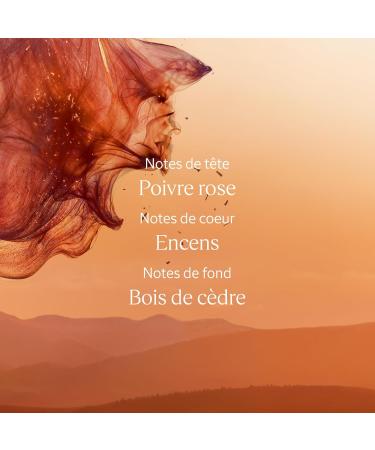 L'OCCITANE - Baume Apr s-Rasage C dre Encens (anciennement Eau des Baux) - 75 ml - Hydrate et r duit les irritations - Fabriqu en France - Buy Online on GoSupps.com