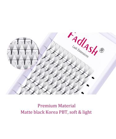 Shop 6D Volume Eyelashes | 0.07mm D Curl Premade Russian Lashes | International Shipping - Buy Online on GoSupps.com