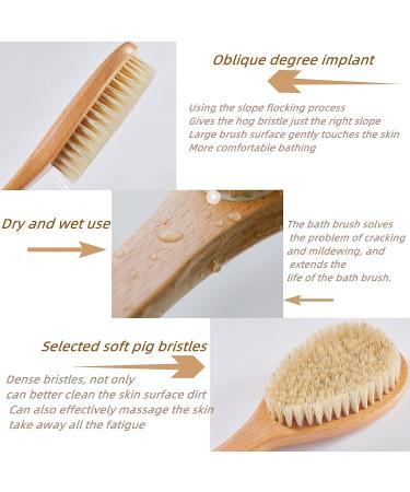 Dry Brushing Body Brush for Smooth Skin & Cellulite Reduction - Long Handle Shower Back Brush with Natural Bristles for Skin Massage & Circulation Boost - Buy Online on GoSupps.com