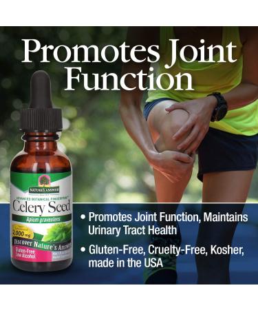 Nature's Answer Celery Seed Extract - Antioxidant-Rich, Joint & Urinary Tract Support | 1 oz - Buy Online on GoSupps.com