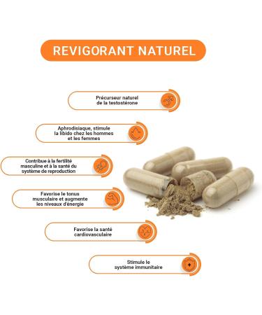  Anastore Tribulus terrestris * 471 mg/180 vegetable capsules - Standardized to 85% min. saponins * Energy (fatigue) Athletic performance - Buy Online on GoSupps.com