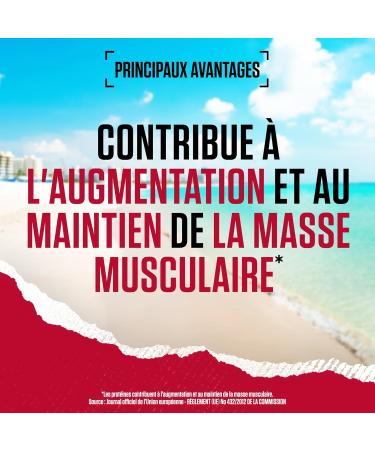 BSN True Mass 1200 Protein Powder Mass Gain with Whey and Carbohydrate Isolate Weight & Muscle Gain & Post Workout Recovery Chocolate Milkshake Taste 15 Servings 4.8 kg - Buy Online on GoSupps.com