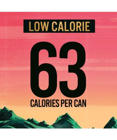 TENZING Natural Energy Drink Plant Based Vegan & Gluten Free Drink BCAA Pineapple & Passionfruit 250ml (Pack of 12) - Buy Online on GoSupps.com