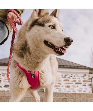 Hurtta Weekend Warrior Harness for Large Dogs - Ruby Red (80-100 cm) | Durable & Comfortable Dog Gear for International Shipping - Buy Online on GoSupps.com