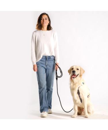 Hands-Free Dog Leash - 2m Adjustable Belly Belt 3-in-1 Running & Training Leash for Large & Small Dogs - Rope Leash in Black - Buy Online on GoSupps.com