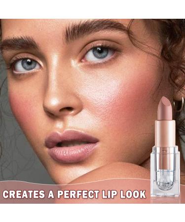 IONSGAKO Matte Nude Lipstick Velvet Lip Gloss - Fairy Pink | Long Lasting, Waterproof Lipstick for Women - Daily Lip Makeup - Buy Online on GoSupps.com