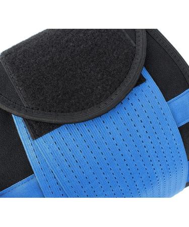 Buy XL Lumbar Support Belt - Breathable Mesh for Scoliosis Back Pain Relief Herniated Disc & Sciatica - Adjustable Lower Back Support - Buy Online on GoSupps.com