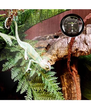 Mallalah Needle Hygrometer Terrarium Thermometer Humidity Meter Pressure Gauge for Amphibian Reptiles Lizard Snake Reservoir ROHS Certified - Buy Online on GoSupps.com