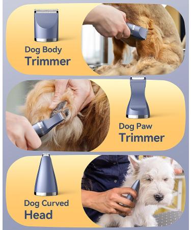 oneisall Dog Clippers Grooming Kit 4 in 1 Quite Cordless Dog Paw Trimmer & Nail Grinders & Small Dog Trimmer for Grooming Pet Clippers Shaver Trimmer for Small Dogs (Blue) - Buy Online on GoSupps.com
