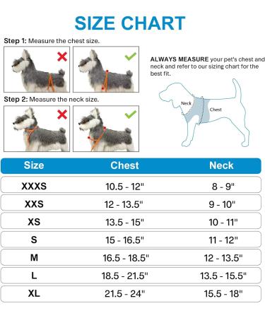 Joyal Dog Harness & Reflective Soft Padded Dog Dishes - Air-Mesh Breathable Chest Harness for Cats & Small Dogs (XXS Baby Blue Size 31-34cm) - Buy Online on GoSupps.com