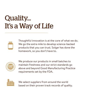 Solgar Brewer's Yeast Powder 14 oz (400 g) - Nutritional Superfood for Health & Wellness - Buy Online on GoSupps.com