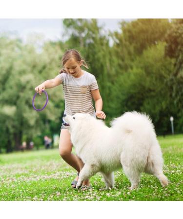 24Pcs Plastic Ring Toss Game Set for Kids & Adults - Outdoor Carnival Party Fun! - Buy Online on GoSupps.com