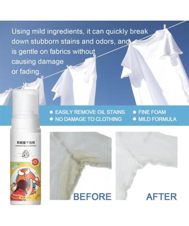 Down Jacket Foam Dry Cleaner Dry Cleaning Agent For Winter Coats Down Jacket No-rinse Detergent Spray Down Wash Detergent Water Free Dry Cleaning Spray Down Jacket Wash Detergent (2Pcs) - Buy Online on GoSupps.com