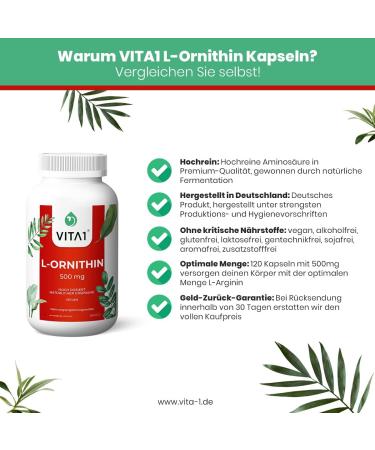 L-Ornithine 500mg 120 Capsules - Boost Recovery & Energy | VITA1 - International Shipping Available - Buy Online on GoSupps.com