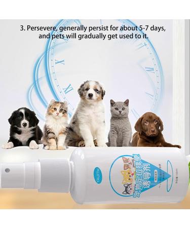 Go Here Attractant Spray for Dogs -Puppy Training Spray with Attractive Scent | Dog Anti Pee & Attractant Spray 100ml for Indoor & Outdoor Use Pet-Friendly - Buy Online on GoSupps.com