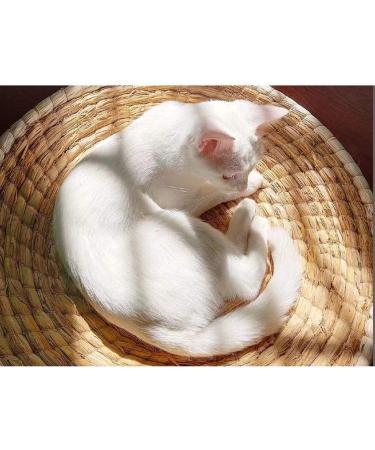Natural Straw Small Medium Cat and Dog Sofa Bed - Comfortable Pet Bed & Scratcher - Eco-Friendly - Buy Online on GoSupps.com