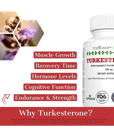 TODICAMP Turkesterone & Hydroxypropyl-Cyclodextrin Complex Ajuga Turkestanica Muscle Accelerator for Men - 500mg Turkesterone Supplement - Buy Online on GoSupps.com