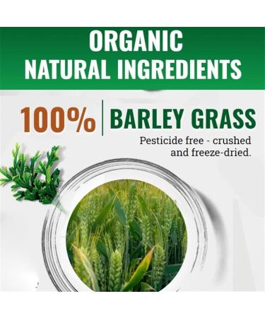 100% Pure & Organic Naveta Barley Grass Powder - 2023 Best Bio Superfood for Men & Women (2 Boxes | 40 Packs) - Buy Online on GoSupps.com