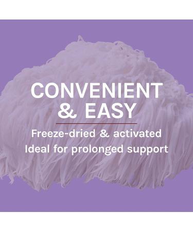 Fungi Perfecti Lion's Mane â€“ Memory & Nerve Support Capsules | 30 Veggie Capsules - Buy Online on GoSupps.com