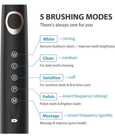 Dnsly Electric Toothbrush for Adults - 5 Modes Sonic Cleaning, Rechargeable with 2-Min Timer, 8 Brush Heads, Travel Case - Black - Buy Online on GoSupps.com