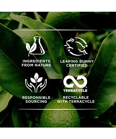 Burt's Bees Lemon Butter Cuticle Cream 0.6 oz - Nourishing Treatment for Healthy Nails - Buy Online on GoSupps.com